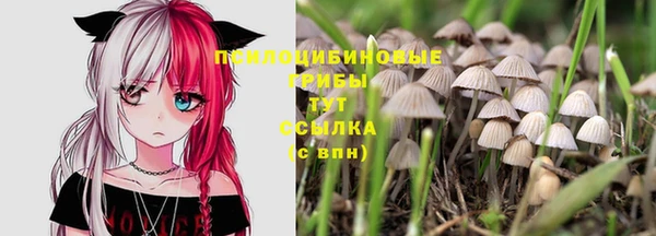 трава Верхний Тагил