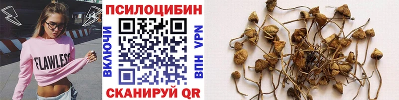 MEGA вход Новоульяновск Галлюциногенные грибы GOLDEN TEACHER мориарти телеграм купить наркоту